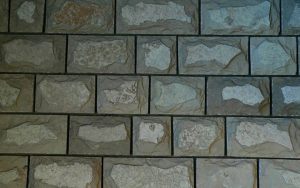 62